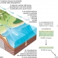 Gli stadi del ciclo di formazione delle rocce sedimentarie.