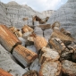 Tronchi d’albero della <em>Foresta Pietrificata</em> (nel Deserto Dipinto, in Arizona, USA), portati alla luce dalla lenta erosione delle argille in cui rimasero sepolti circa 200 milioni di anni fa.