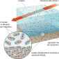 Magnetismo residuo in depositi sedimentari detritici.