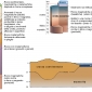 <em>Crosta oceanica e crosta continentale</em>: confronto tra spessori, struttura e natura.