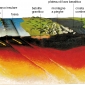 Schema dei rapporti tra vulcanismo e struttura della litosfera.